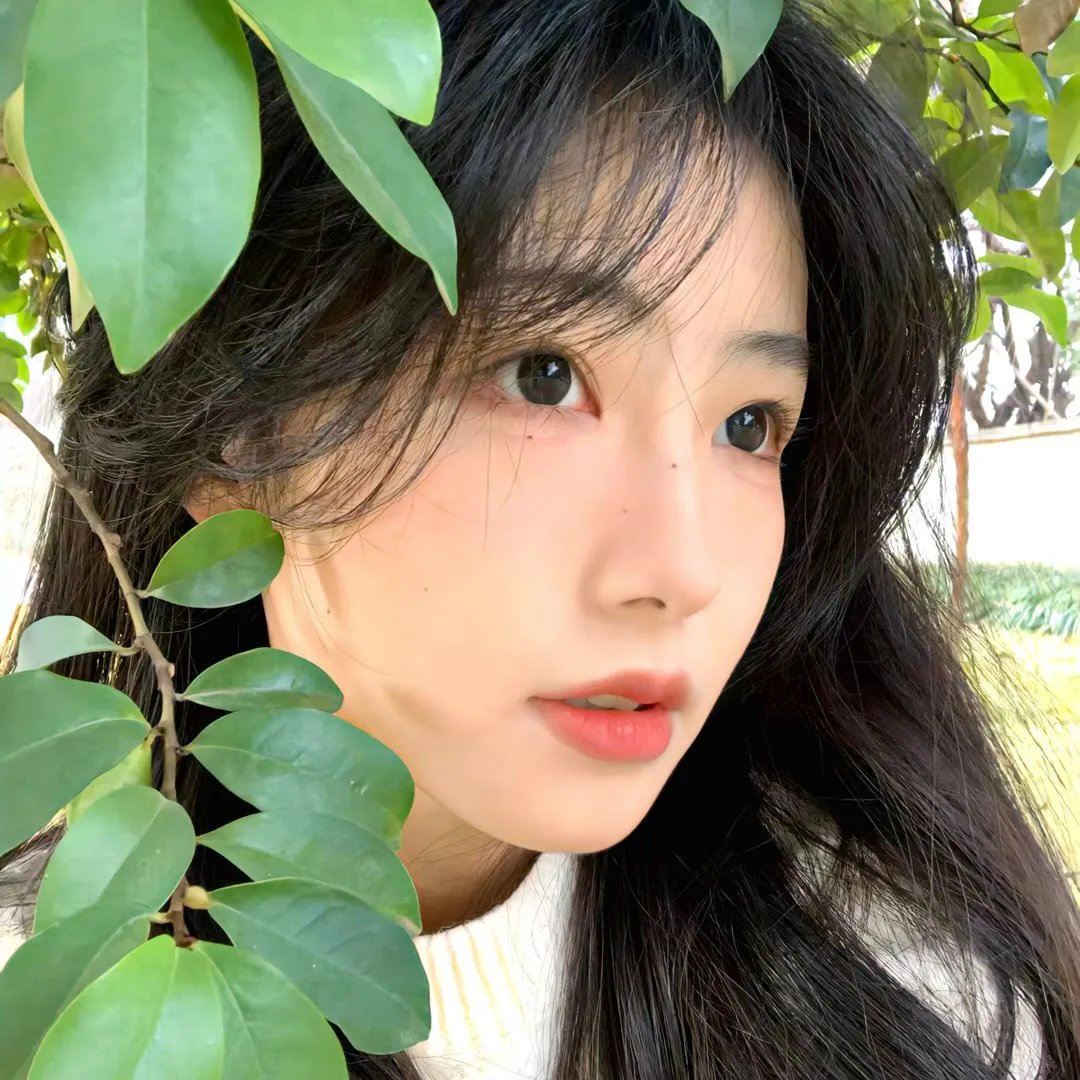 熊猫与你，滚滚而来！