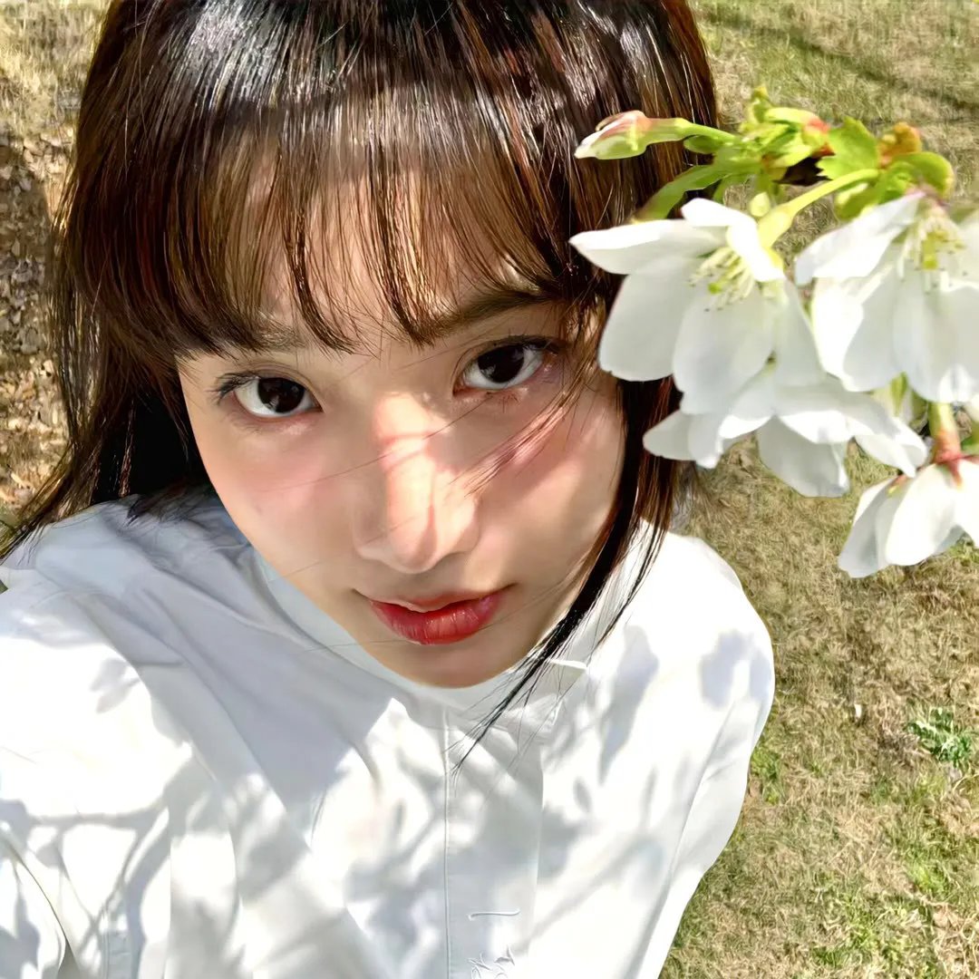 雷蒙·斯尼奇的不幸历险